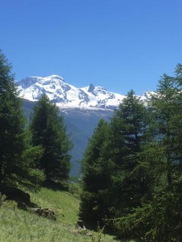 Haus Valaisia - Randa Bei Zermatt公寓 外观 照片
