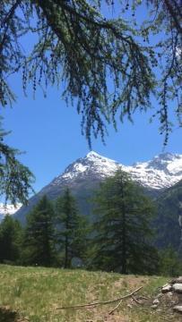 Haus Valaisia - Randa Bei Zermatt公寓 外观 照片